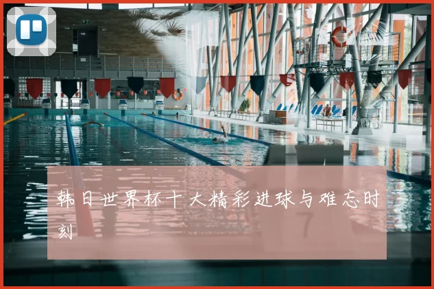 韩日世界杯十大精彩进球与难忘时刻