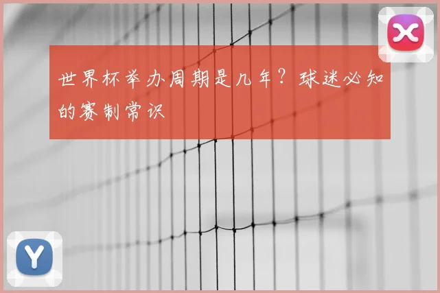 世界杯举办周期是几年？球迷必知的赛制常识