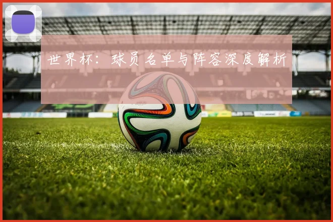 世界杯:球员名单与阵容深度解析