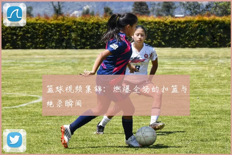 篮球视频集锦：燃爆全场的扣篮与绝杀瞬间