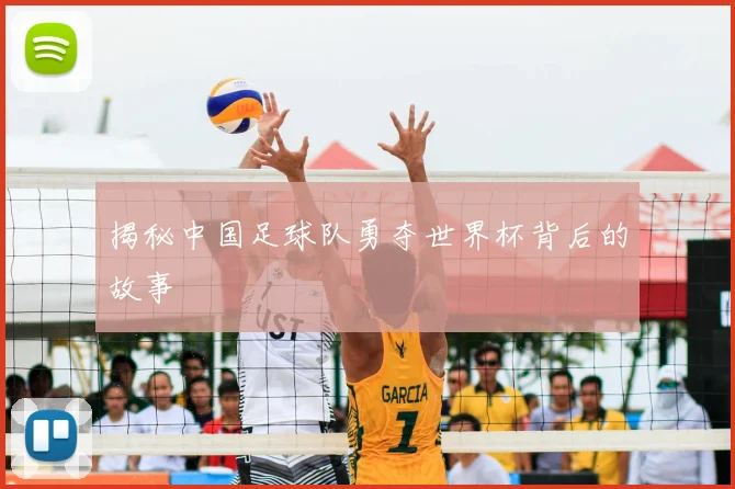 揭秘中国足球队勇夺世界杯背后的故事